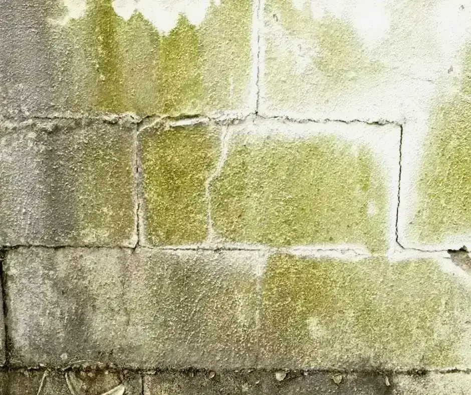 Extensive Basement Crack Repair in Erie, PA